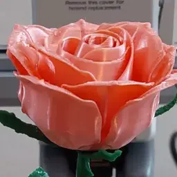 Alpaquita