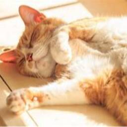 wannawow