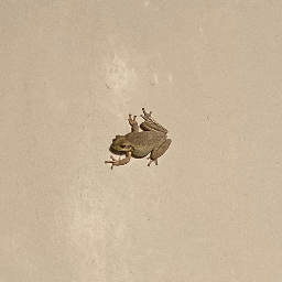 Wlacoste3
