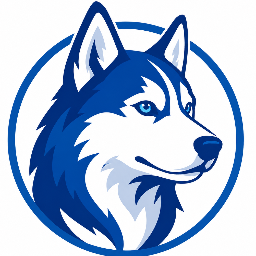 BlueHusky