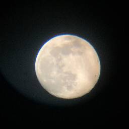 Judthdudeee13
